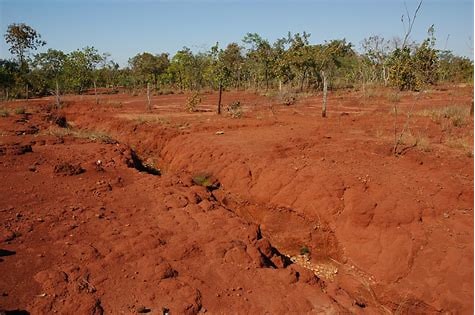 degraded land